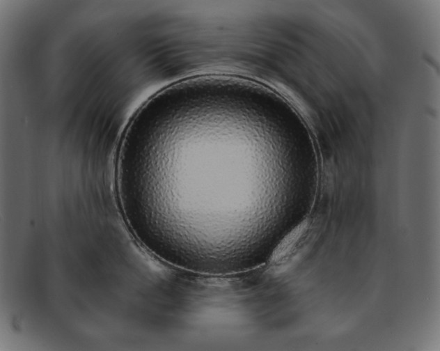 X0000091860862200709191115