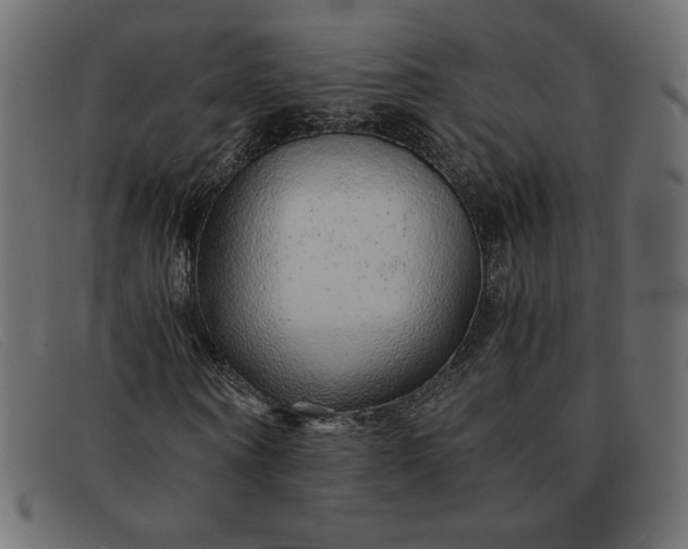 X0000091860866200709191114