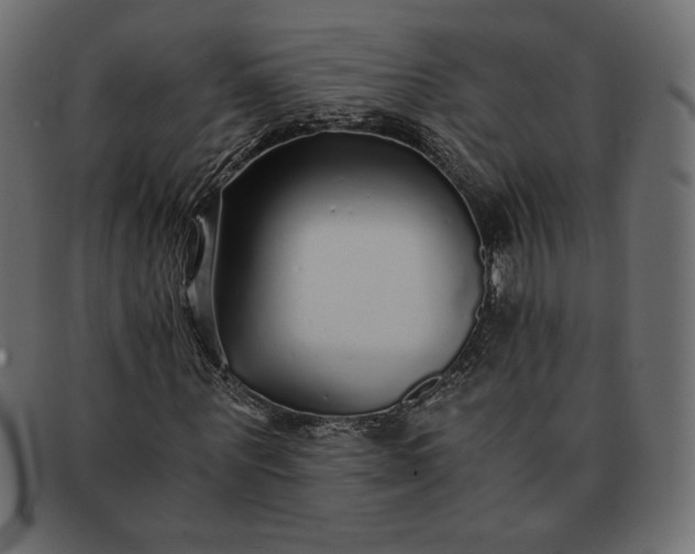 X0000091860867200709191114