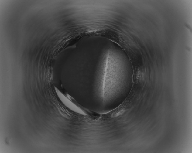 X0000091860868200709191114