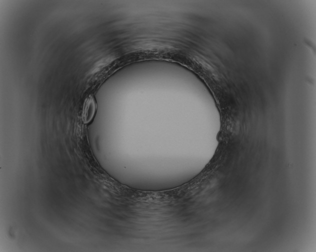 X0000091860869200709191114