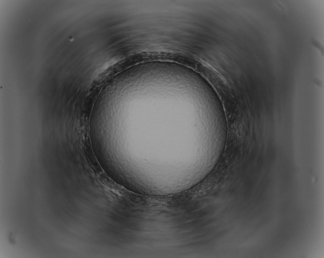 X0000091860870200709191114