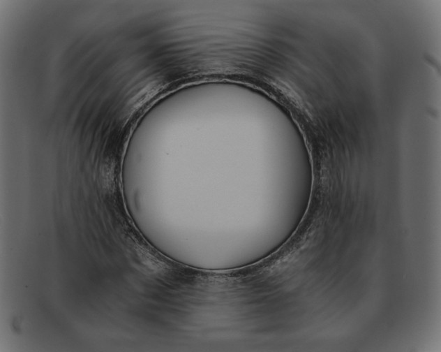 X0000091860873200709191114