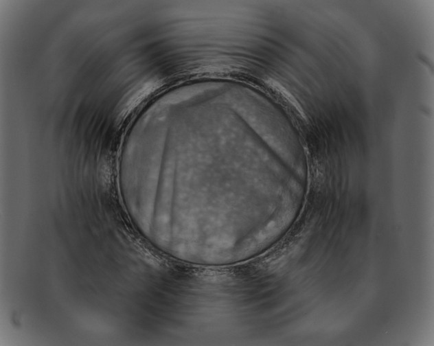 X0000091860874200709191114