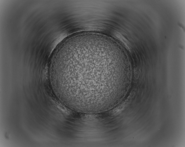 X0000091860875200709191114