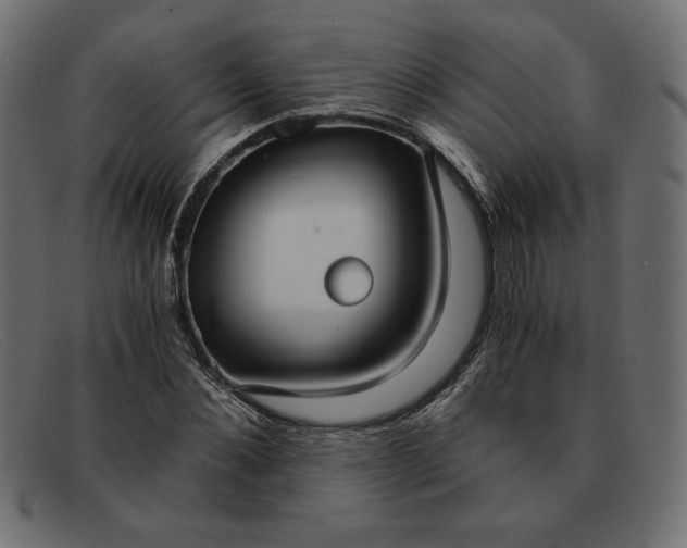 X0000091860876200709191114