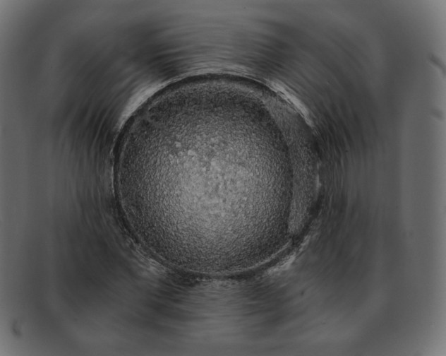 X0000091860877200709191114