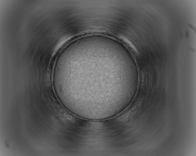 X0000091860878200709191114