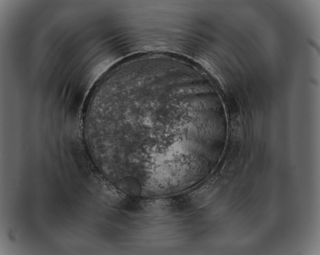 X0000091860879200709191114