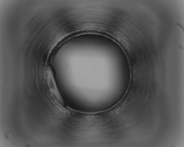 X0000091860880200709191114