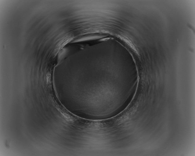 X0000091860881200709191114