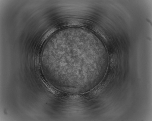 X0000091860882200709191114