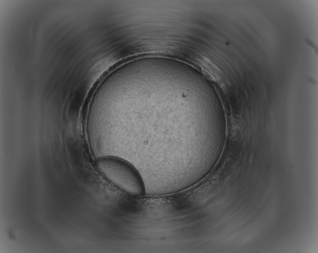 X0000091860883200709191114