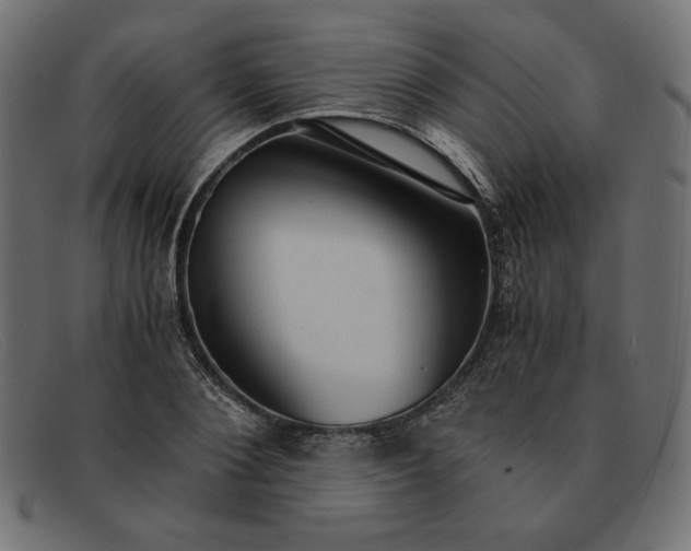 X0000091860884200709191114