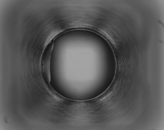 X0000091860885200709191114