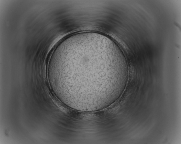 X0000091860886200709191114