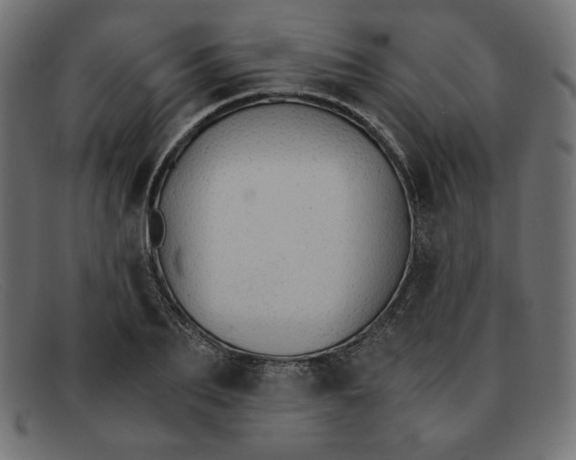 X0000091860887200709191114