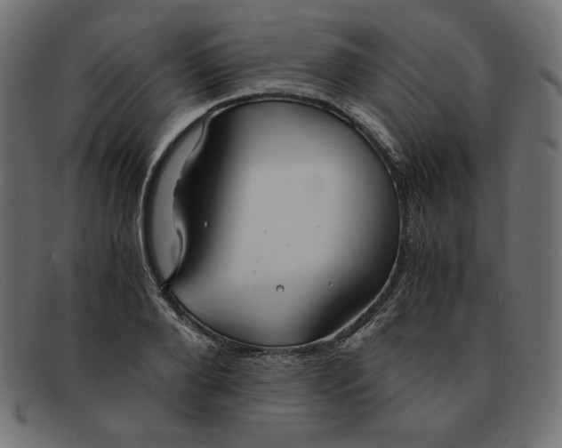 X0000091860888200709191114