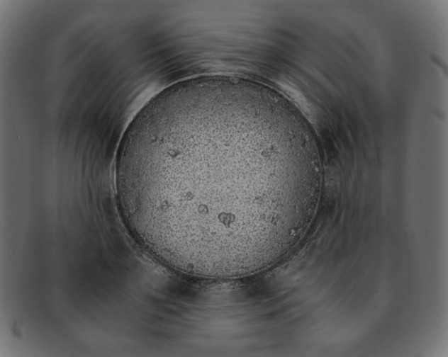 X0000091860891200709191114