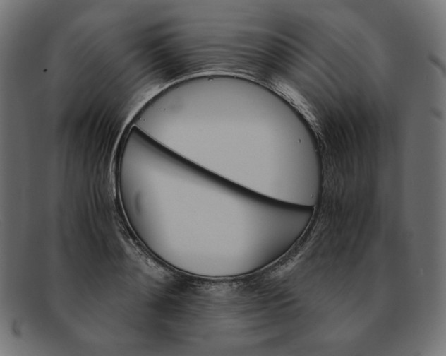 X0000091860892200709191114