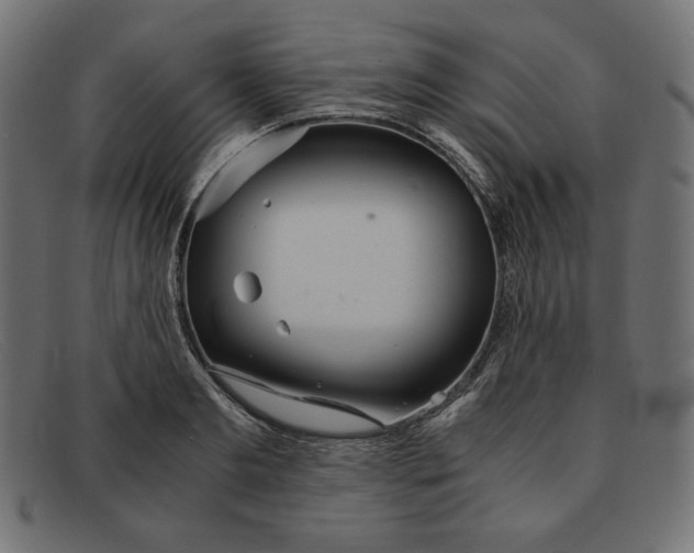 X0000091860893200709191114