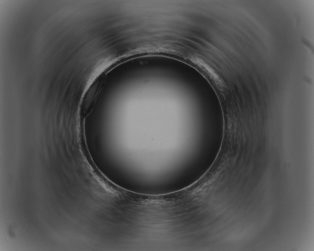 X0000091860894200709191113