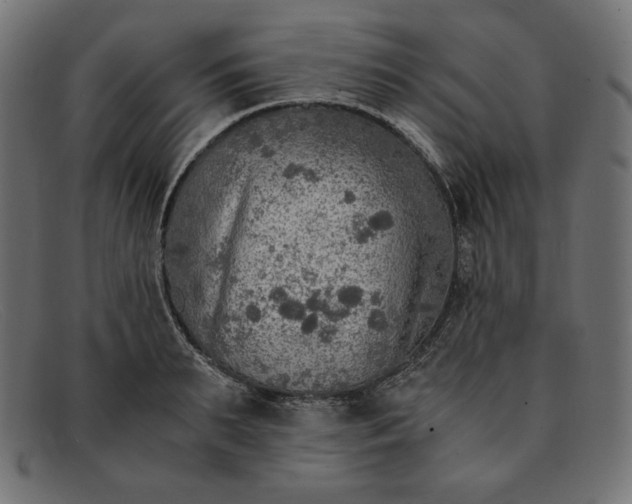 X0000091860895200709191113