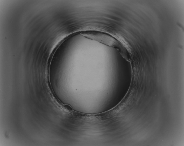 X0000091860896200709191113