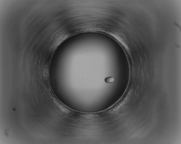 X0000091860897200709191113