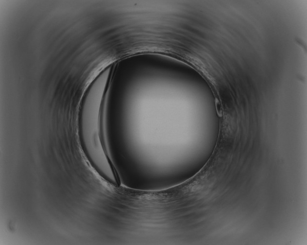 X0000091860898200709191113