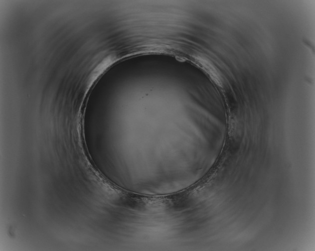 X0000091860899200709191113