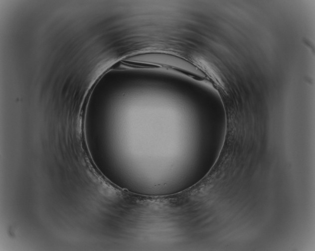 X0000091860900200709191113