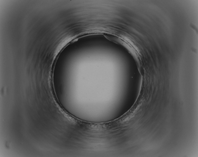 X0000091860901200709191113