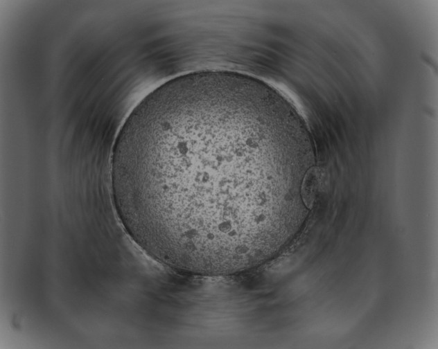 X0000091860903200709191113