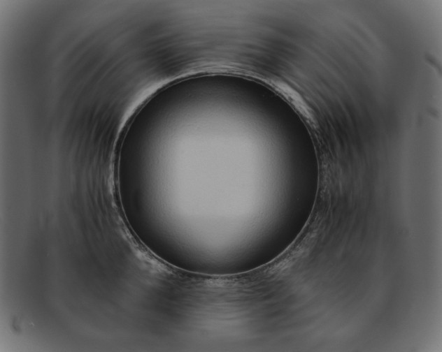 X0000091860904200709191113