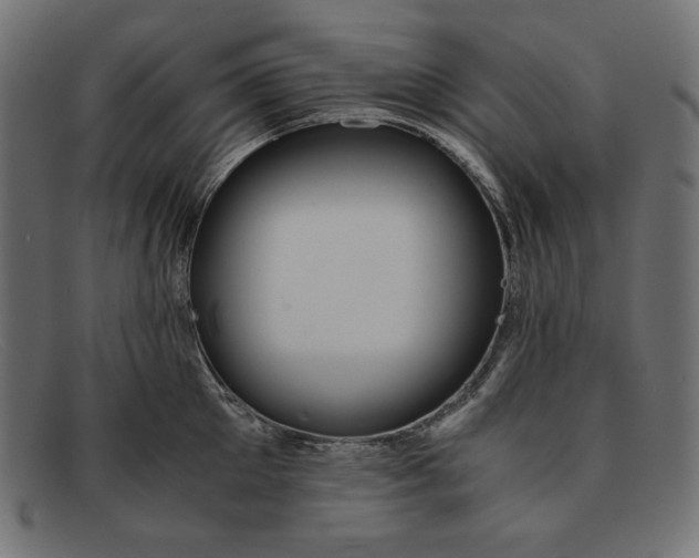 X0000091860905200709191113