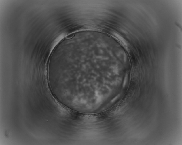 X0000091860907200709191113