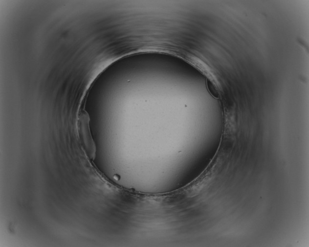 X0000091860908200709191113