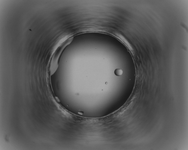 X0000091860909200709191113