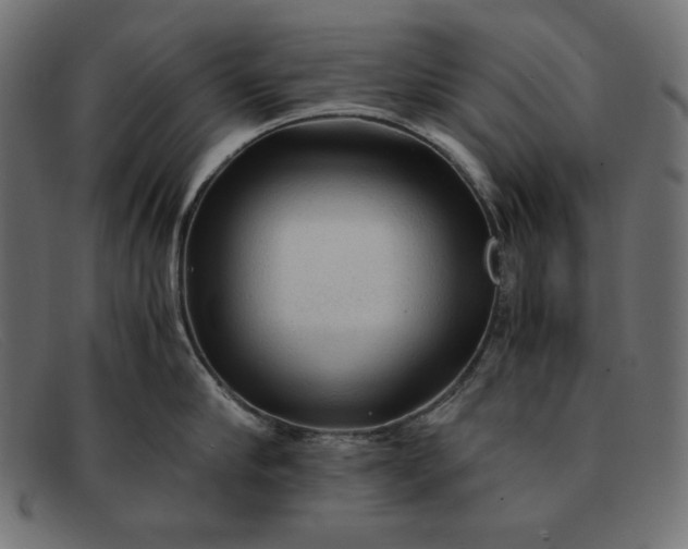 X0000091860910200709191113