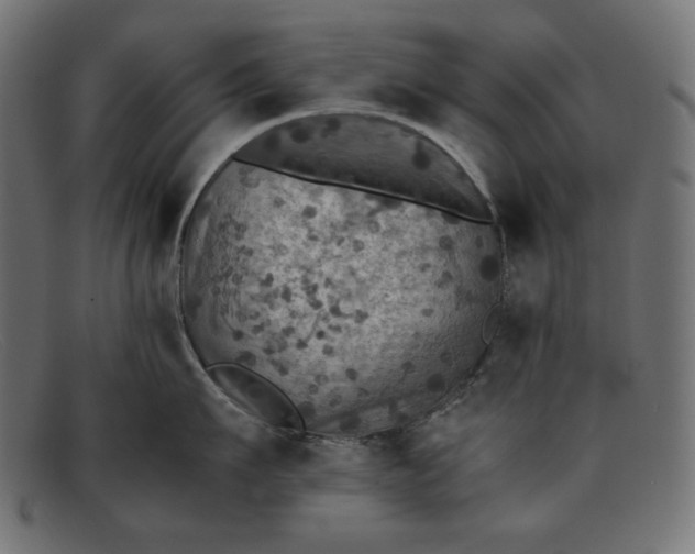 X0000091860911200709191113