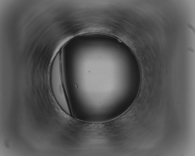 X0000091860912200709191113