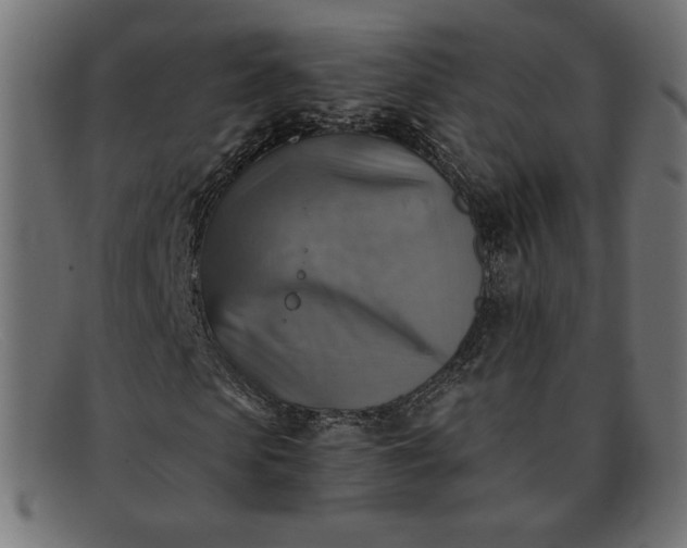 X0000091860913200709191113