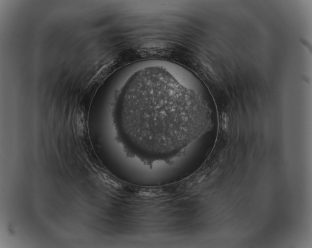 X0000091860915200709191113