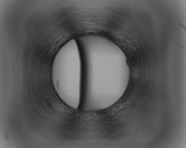 X0000091860916200709191113