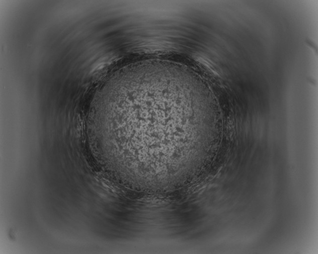 X0000091860917200709191113