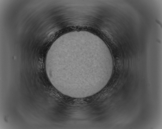 X0000091860918200709191113