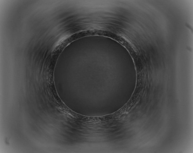 X0000091860919200709191113