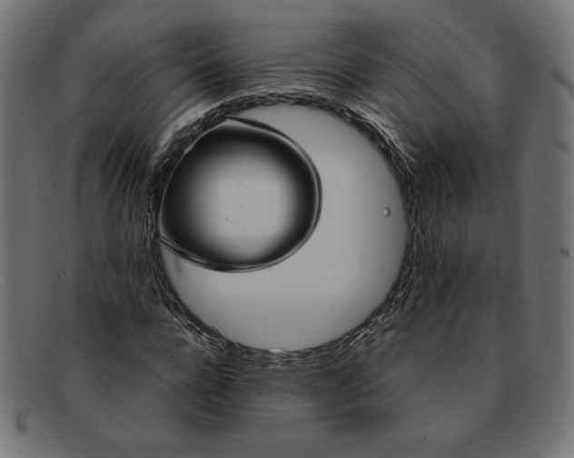 X0000091860920200709191113