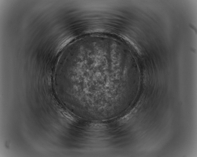 X0000091860921200709191113